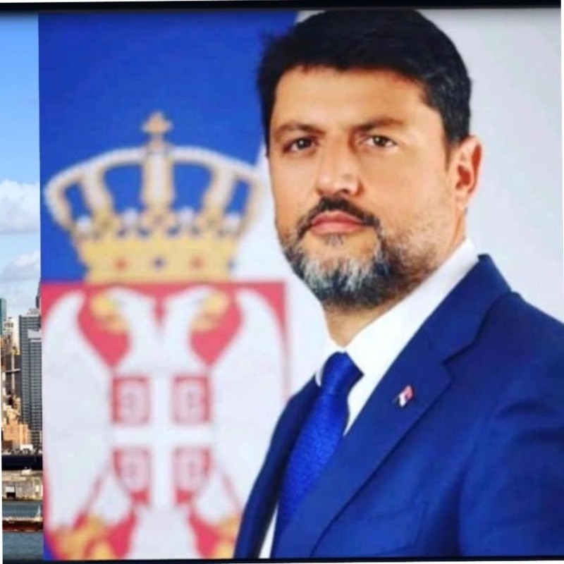Ambassador PhD Vladimir Bozovic